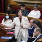 Romero, durant la seua intervenció ahir al Parlament. - EUROPA PRESS