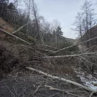 La calçada de l’accés als pobles de les Valls de Valira està coberta de terra i arbres. - DIPUTACIÓ