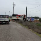 Veïns van dir que Cobra i Solaria van portar a terme els talls. - AV HORTA SUD