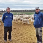 Una granja d’Algerri, model d’innovació, venda directa i formació