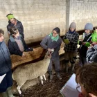 L’Escola de Pastors compleix 18 anys després de formar 300 alumnes - MARTA LLUVICH/ACN