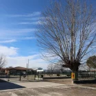 El pati de l’Ignasi Peraire, amb els arbres sense podar. - J. GÓMEZ