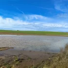 La Unilla ha començat a aflorar arran de les intenses pluges que s’hi han registrat des de finals de l’any passat. - A.A.