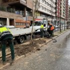Operaris treballant a la plantació d’arbres a l’avinguda Madrid. - AJUNTAMENT DE LLEIDA