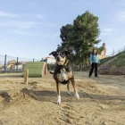 El nou espai d’esbarjo per a gossos s’inaugurarà de forma oficial el divendres vinent dia 27.