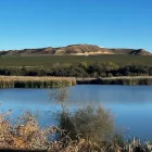 El pantà de l’Arròs, construït als anys 50, s’ha naturalitzat des que va quedar en desús als 90. - TURISME DE LLEIDA