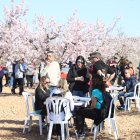 La iniciativa està programada per a diumenge, a partir de les nou.