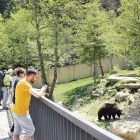 Aran Park, un atractiu toristic de Bossòst. - ARAN PARK