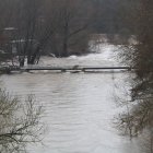 Una passera al límit d'aigua del riu Ter.