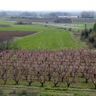 Finques agrícoles a Térmens.