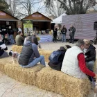 Activitat sobre gestió de despeses a la Fira de Benestar Animal.