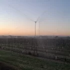 Reg per aspersió a Lleida per lluitar contra les gelades. - ASAJA