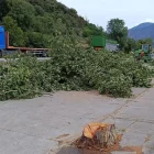 Comencen les obres per reparar les voreres de la zona industrial de la Seu - C.SANS