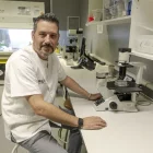 José Manuel Valdivielso, cap del grup d’investigació transnacional vascular i renal. - JORDI ECHEVARRIA