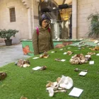 L’exposició es va inaugurar ahir al pati de l’Institut d’Estudis Ilerdencs. - JORDI ECHEVARRIA