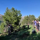 Jornada sobre què fer davant d’un os dijous passat a Senet. - TXELL CENTENO