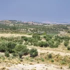 Les zepes dels secans de Lleida inclouen 14.000 ha en les quals el reg i algunes pràctiques agrícoles estan sotmeses a restriccions. - MAGDALENA ALTISENT
