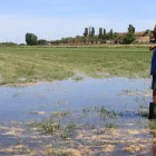 Un pagès de Vila-sana observa l’avenç de l’aigua amb què rega a manta en una parcel·la de cereal. - JOAN GÓMEZ