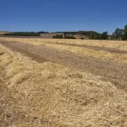 El baix preu de la palla, un producte agrari molt inflamable, desincentiva retirar-la del camp. - LAIA PEDRÓS