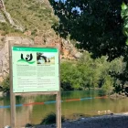 Plafó informatiu sobre els riscos del bany al riu. - AJUNTAMENT DE CAMARASA