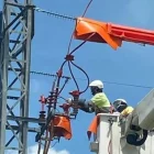 Imatge dels treballs fets. - ENDESA