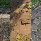 Queixes per l'estat dels Jardins d'Ernest Lluch de Lleida: llambordes aixecades, desnivells i ple de forats