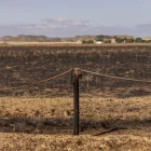 L’incendi va calcinar 21 hectàrees de la timoneda d’Alfés. - JORDI ECHEVARRIA