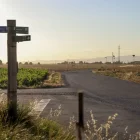 Una afectada pels gossos va topar amb els animals a la carretera de Castellnou a Vila-sana. - ESMERALDA FARNELL