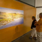 Maite Farreres inaugura ‘Els pigments del cadmi’ a l’Espai Cavallers - JORDI ECHEVARRIA
