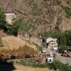 El ramat de cavalls de Casa Palanca de Tor transita per l’interior del poble. - MARTA LLUVICH/ACN