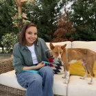 ‘Dog House’, de nou a La 1 - RTVE