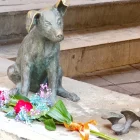 Flors a l’estàtua de Rovelló de la plaça del Pou de Balaguer. - @MUSEUNOGUERA