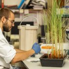 El nou centre busca consolidar Lleida com un pols de recerca agroalimentària en el sud d’Europa