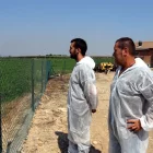 Sisco Esquerda (JARC), amb el seu fill en una granja envoltada de plaques solars a Alcarràs. - ANC