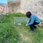 Veïns i ajuntaments d’una desena de pobles s’han afegit a la part veterinària del projecte. - ANUT
