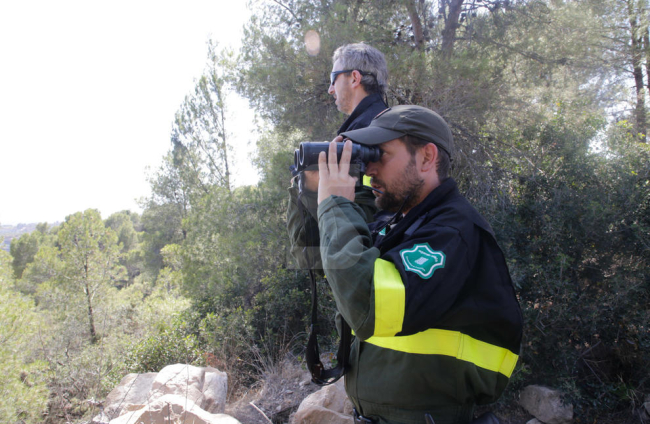 Imatges de l'incendi de la Ribera d'Ebre, que afecta a diversos indrets de les Garrigues i el Segrià