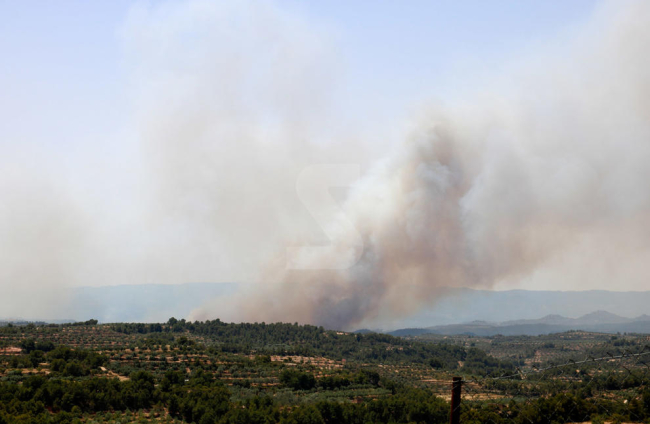 Imatges de l'incendi de la Ribera d'Ebre, que afecta a diversos indrets de les Garrigues i el Segrià