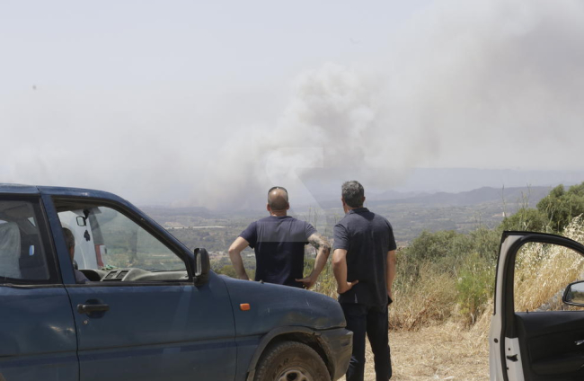 Imatges de l'incendi de la Ribera d'Ebre, que afecta a diversos indrets de les Garrigues i el Segrià