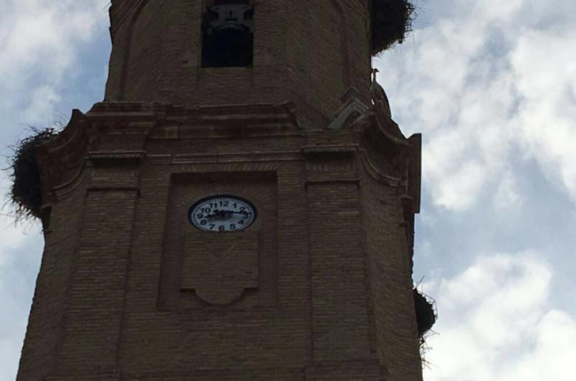 El campanario de la iglesia de Saidí tras la caída del nido.