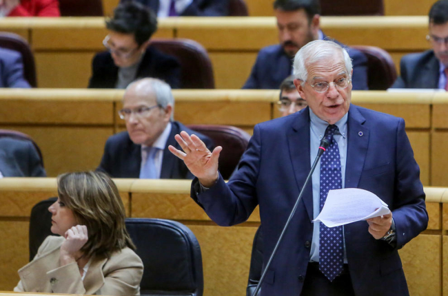 El ministre d’Exteriors, Josep Borrell, ahir durant la seua intervenció al Senat.