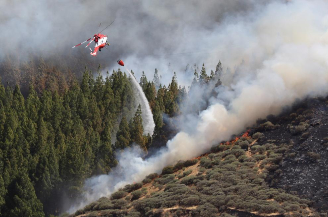 Un incendi forestal a Gran Canària arrasa ja gairebé mil hectàrees