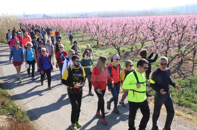 La floración de Aitona atrae a unas 15.000 personas