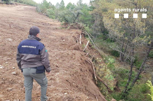 Imagen de un rural en la zona de la ‘rompida’ en el término de Abella de la Conca.