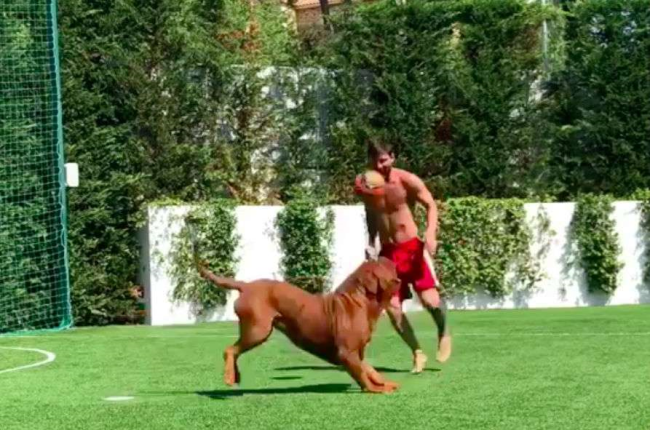 Messi, jugando en el jardín de su casa con su perro Hulk.