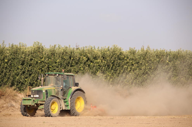 Un tractor efectúa trabajos de labranza de la tierra en una finca de Ivars d’Urgell.