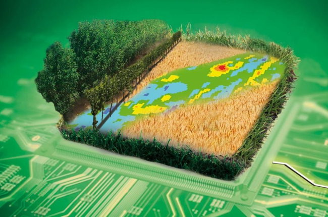 Les dades, el futur de l'agricultura