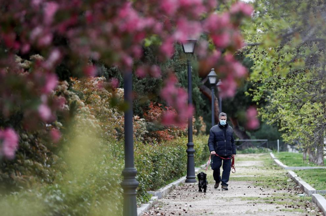 Un hombre pasea con su perro en Madrid.