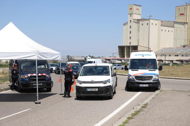 Algunos vehículos parados ayer en un control de los Mossos d’Esquadra en la LL-11 en Els Alamús. 