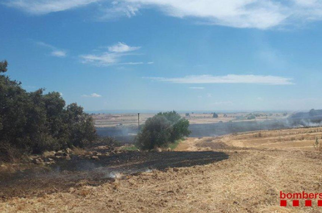 Els bombers treballen en un incendi agrícola a Castelló de Farfanya