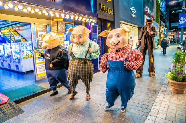Campi Qui Pugui mostrarà a Manresa el xou de carrer ‘Pigs’.